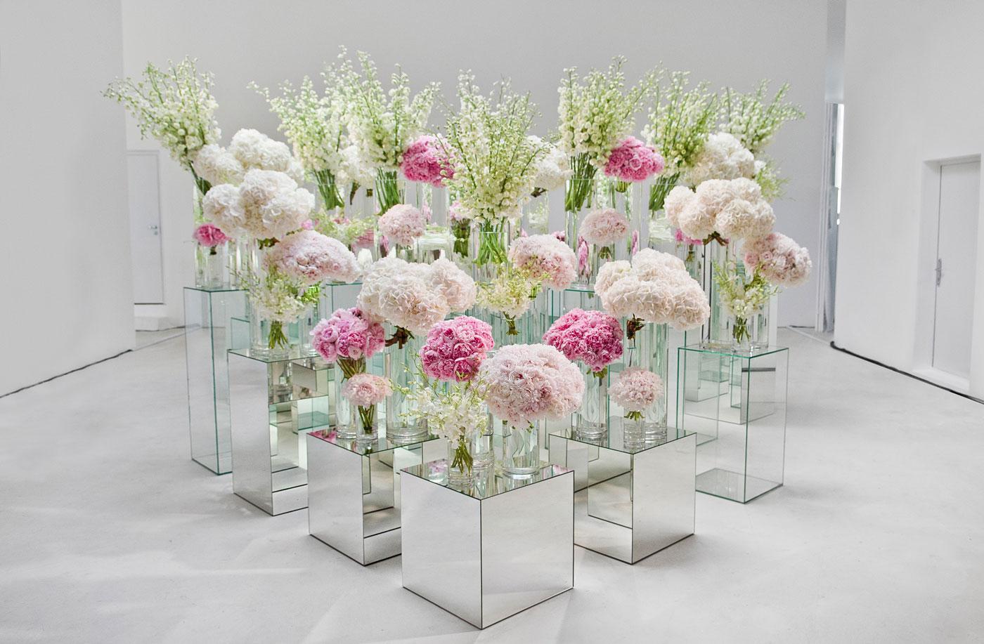 Striking Visuals for Product Showcases